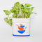 back view of pure cane sugar ceramic sugar bag vase
