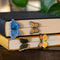 four colorful butterfly 3D popup bookmarks in two books