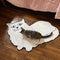 white persian cat throw rug with cat on it