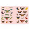 insect and butterfly stickers