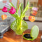 lime green glass seashell vase with tulips inside on a table