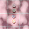 set of 4 iridescent button shaped mini hair claws on pink tile