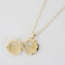 opened long gold seashell necklace