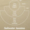 ozone, muguet bergamot top notes, jasmine, lemon and sea moss middle notes, and amber, musk, vanilla, sandalwood base notes