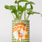 green and white checkered coffee can planter with 'FIRST RODEO COFFEE' label across the front with a plant inside
