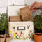 cream metal seed box with floral and butterfly print on the bottom and three interior compartments