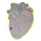 back view of anatomical heart throw rug