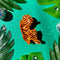 orange tiger hair claw on a teal background