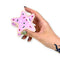 model holding pink sugar cookie star hair claw