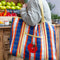 model carrying orange, dark blue and light blue plaid recycled plastic tote with ribbon detail and tomato applique