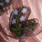 translucent hair claw with blue forget-me-not-flowers in a glass