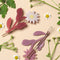 top and bottom view of white and maroon marguerite daisy flower barrette set of 2