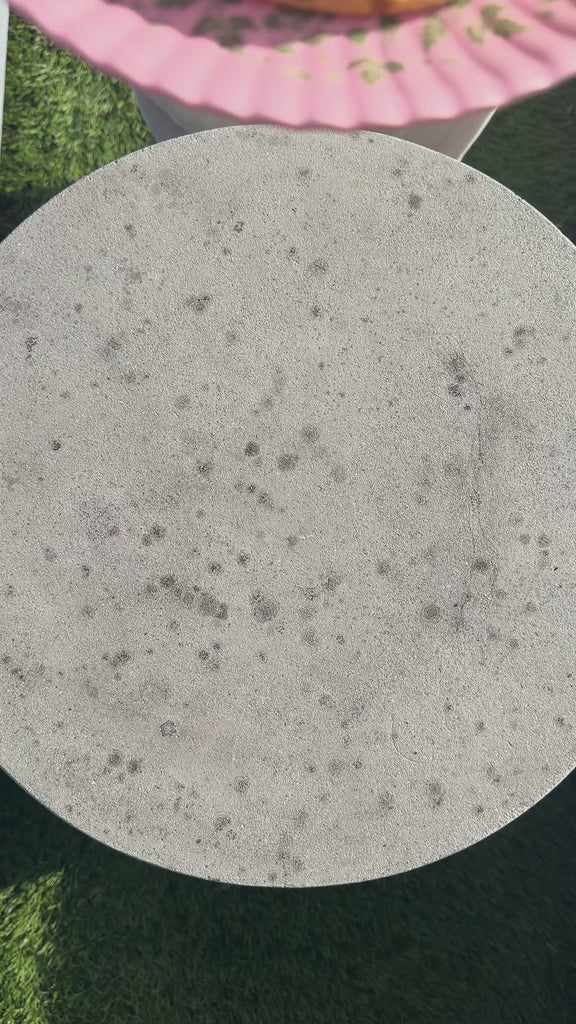 model putting a chocolate chip cookie and a non-chocolate chip cookies on pink dessert plate with green trim