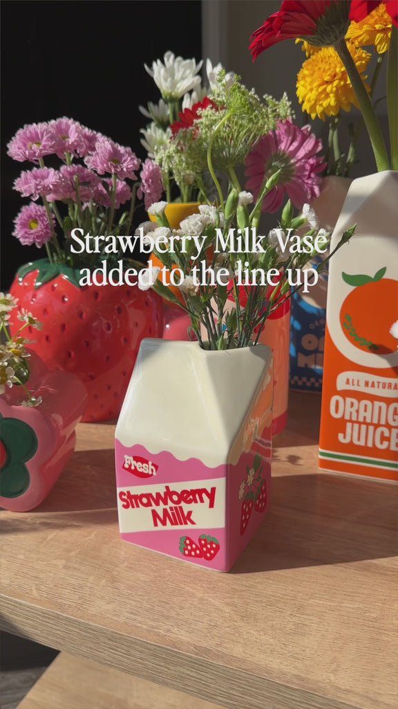 showcase of strawberry milk vase along with all other ban.do vases
