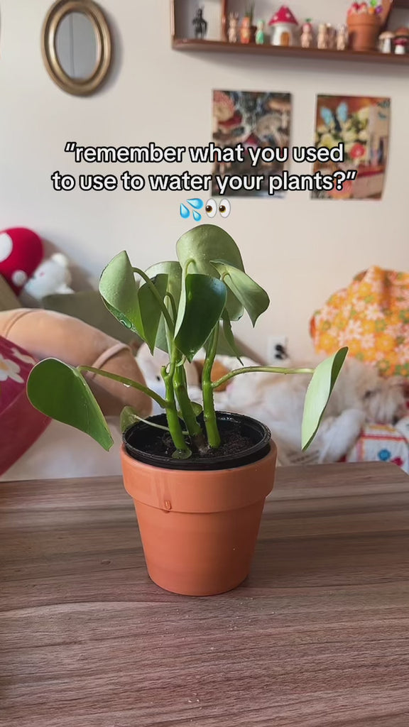model using ceramic tomato plant mister with gold pump to water her plants