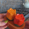 model showcasing orange and red tulip salt and pepper shakers