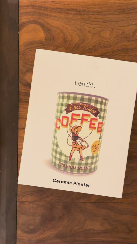 model unboxing ceramic planter