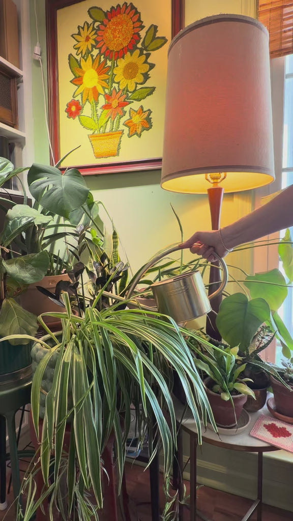 model spraying plants with peach shaped plant mister